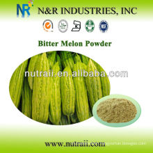 Natural and Pure Plant Powder Fresh Bitter Melon Powder or Bitter Melon Juice Powder